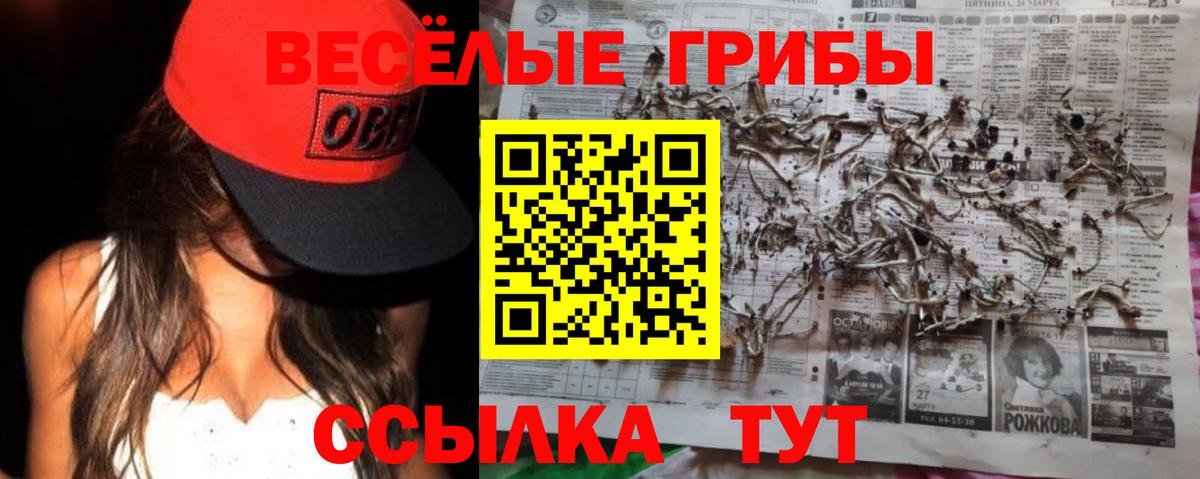 Псилоцибиновые грибы ЛСД  Вход с VPN  Домодедово 